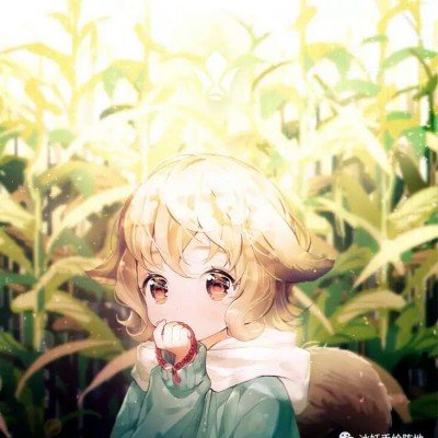 多家银行宣布停发 信用卡越来越少了？